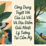 Trà Lá Vối – Thức Uống Vàng Giúp Thanh Lọc Độc Tố Và Giữ Dáng