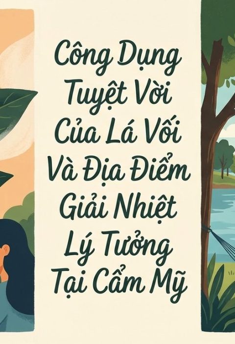 cong-dung-la-voi-va-nabap-cafe-cam-my