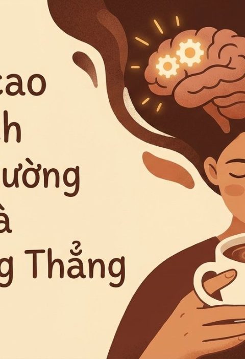 uong-cacao-dung-cach-de-tang-cuong-tri-nho-va-giam-cang-thang