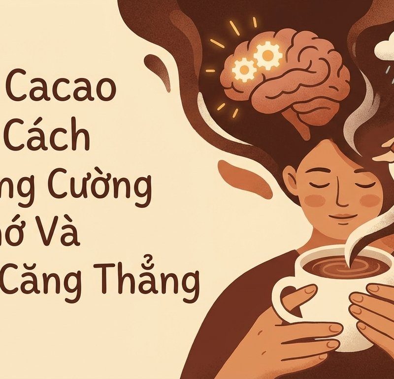 uong-cacao-dung-cach-de-tang-cuong-tri-nho-va-giam-cang-thang
