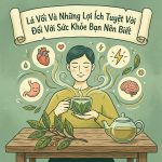5 Loại Cà Phê Phổ Biến Nhất Tại NABAP Cafe Thu Hút Mọi Thực Khách