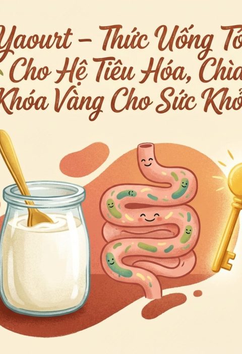 yaourt-thuc-uong-tot-cho-he-tieu-hoa-chia-khoa-vang-cho-suc-khoe